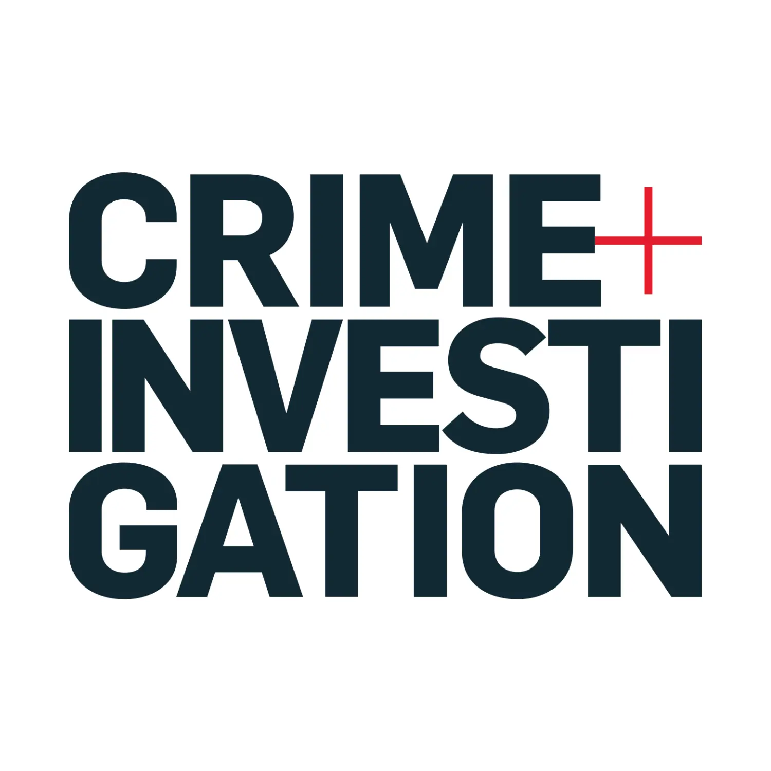 Crime Investigation